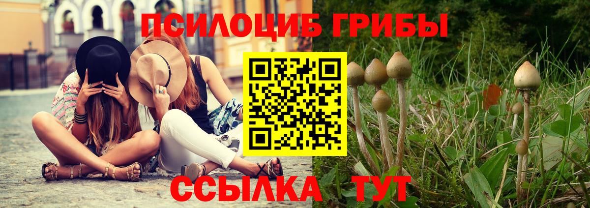 Галлюциногенные грибы мухоморы Кольчугино